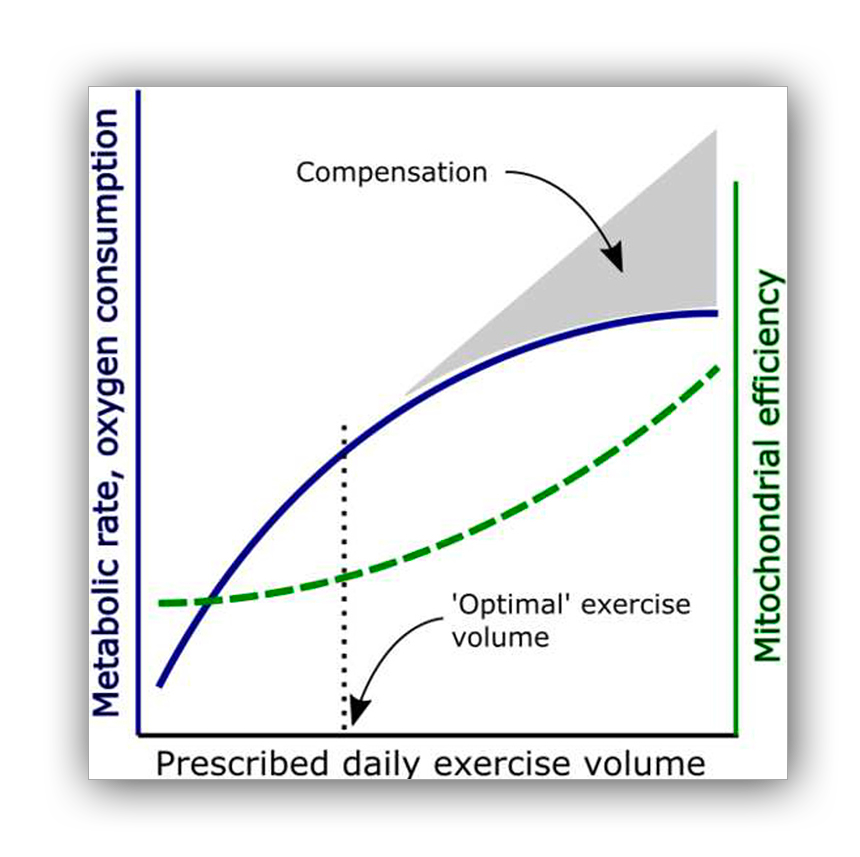 IRON program guide – CGX