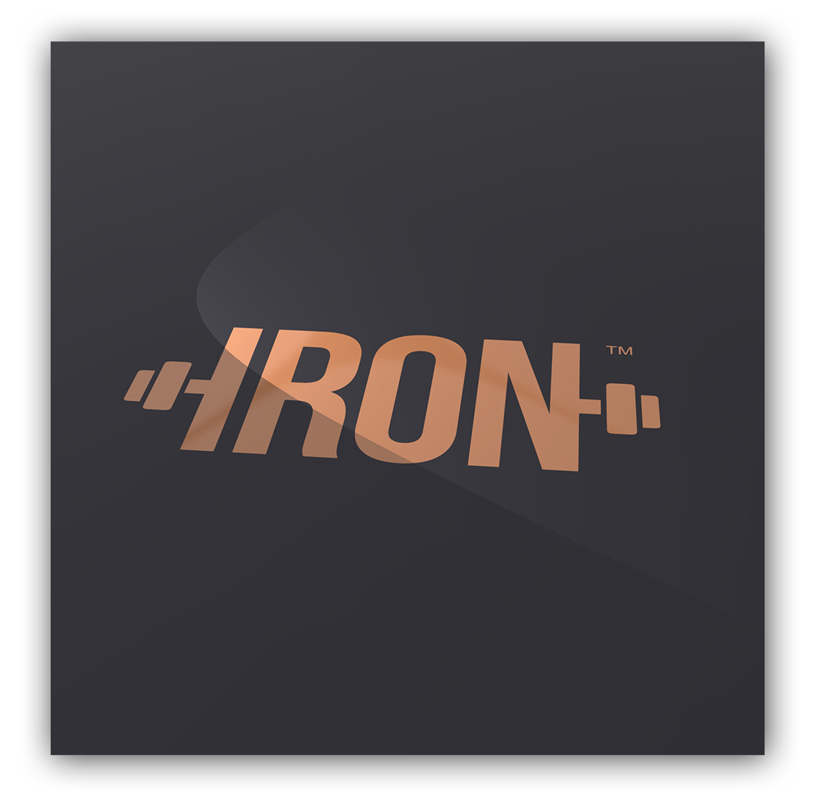 IRON program guide – CGX