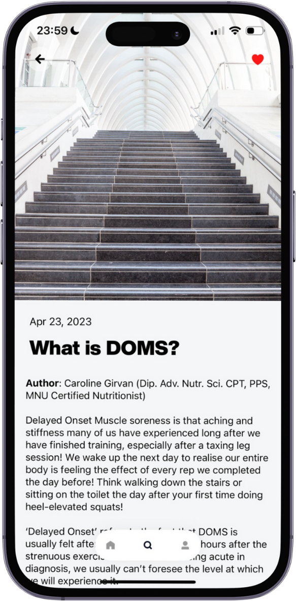 max-what-is-doms-article-img-1.png