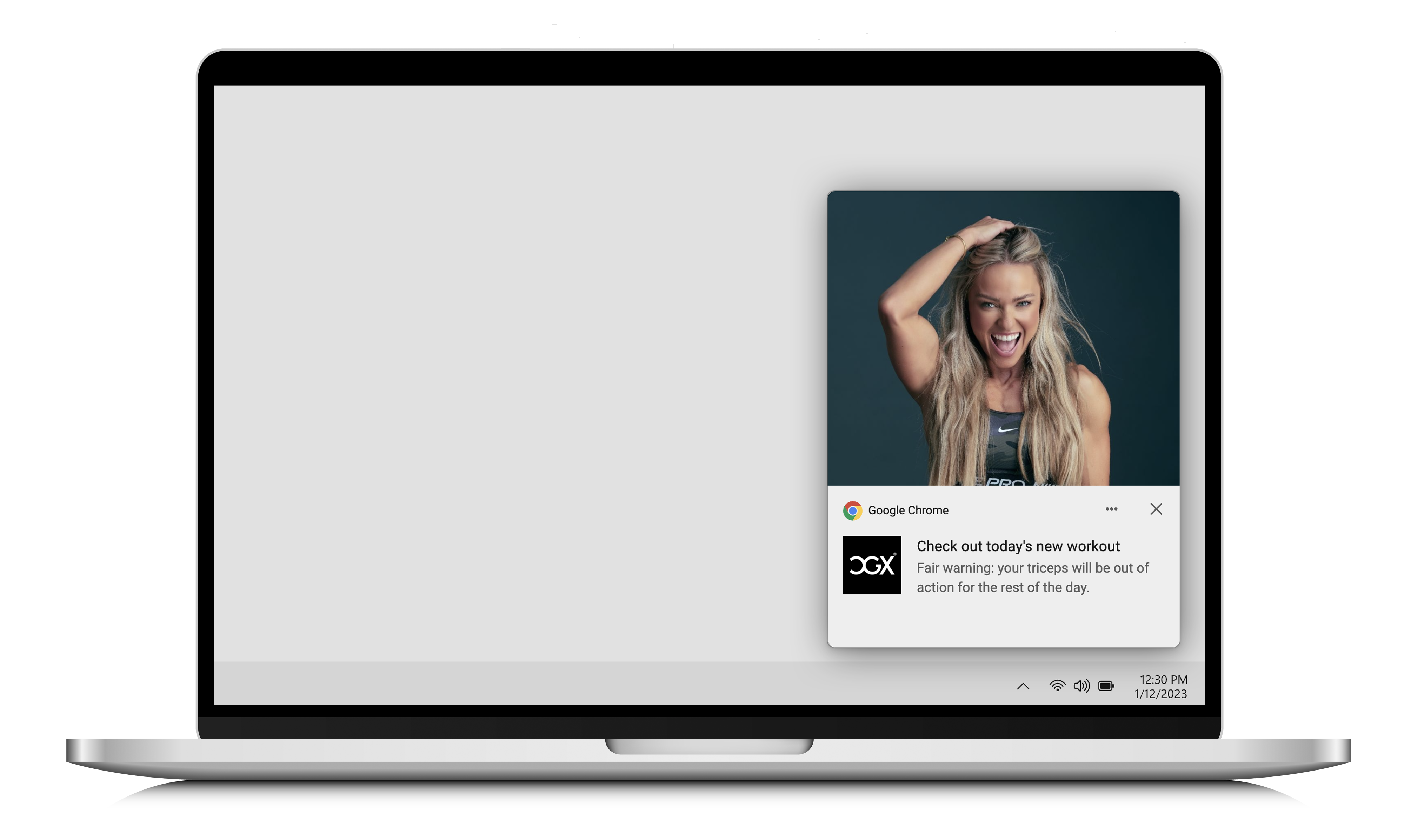 pushnotifweb2.png